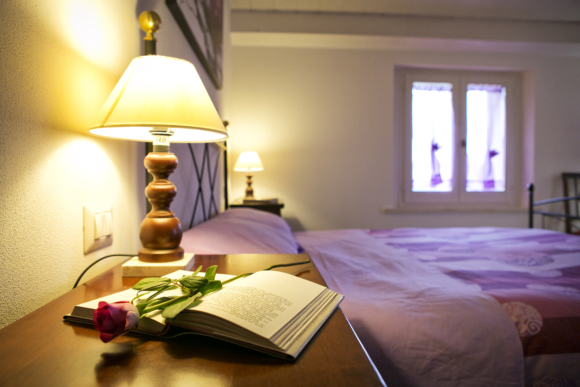 Dettaglio romantico della camera con libro e rosa